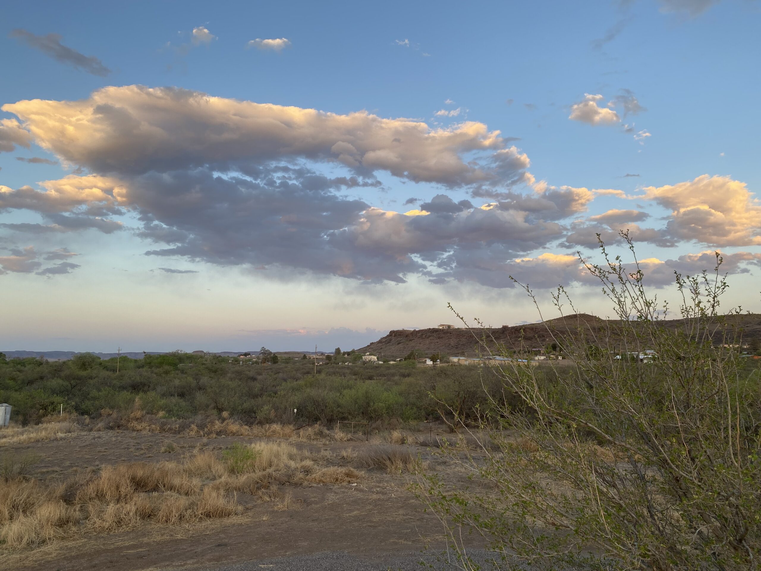 A wide desert landscape at sunset, with dry grass and shrubs in the foreground, low green vegetation in the distance, and dramatic clouds illuminated by the setting sun in a blue sky.